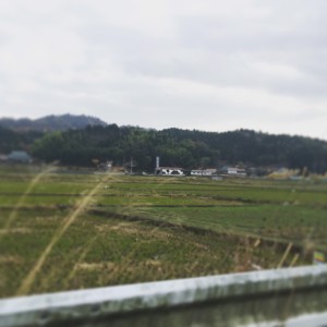 matsushima_2